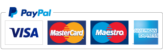 PayPal logo with blue and white colors